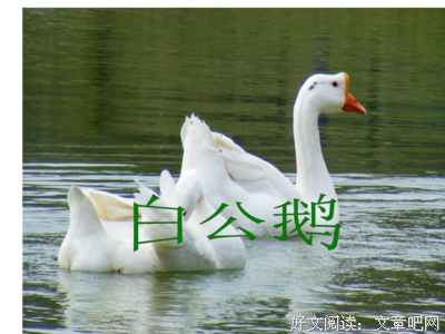 慢条斯理的句子