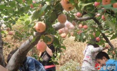 好奇的语句摘抄_关于好奇的语句