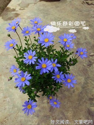 玛格丽特的名人名言