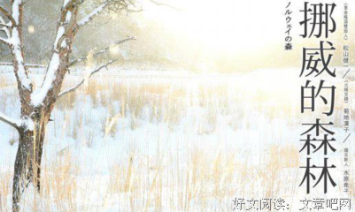 有关书.的句子