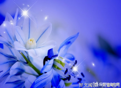 散文，小说优美的句子