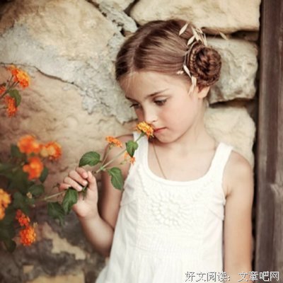 寻雾……的优美句子