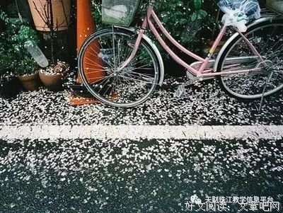 耳根 我欲封时后好词好句