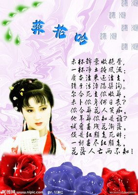关于丁黛玉的句子