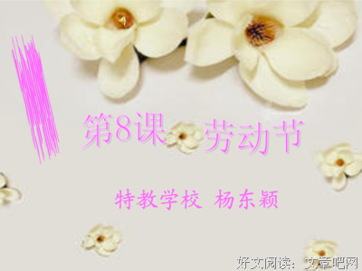 爱是杨句子
