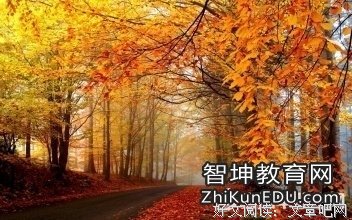 有关云上经典句子