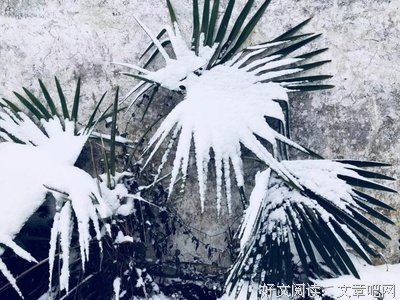 最经典的《挪威的森林》经典句子