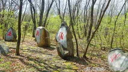 最全的《最美遇见你》名句欣赏
