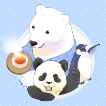 最新的《白熊咖啡厅》经典句子