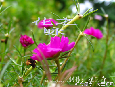 最全的《星星上的花2》小说摘抄