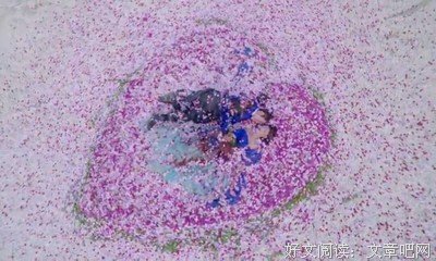 《太子妃升职记》经典语句