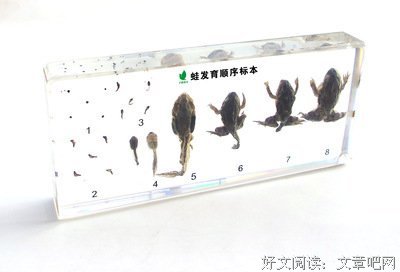 关于千帆的座右铭