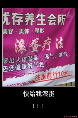 关于咪咪的格言