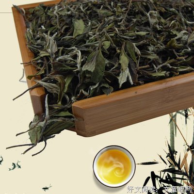 有关白茶的名言