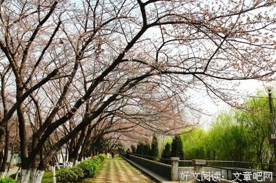 最全的晴川名言