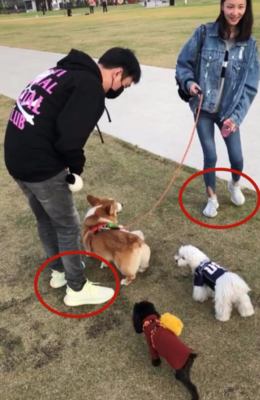 王思聪的最爱，3年换8个女友，被网友叫“狗”，狂怼粉丝，可依然