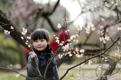 最全的《我与梅花两白头》经典的句子