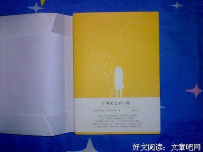 最经典的《芒果街上的小屋》小说句子