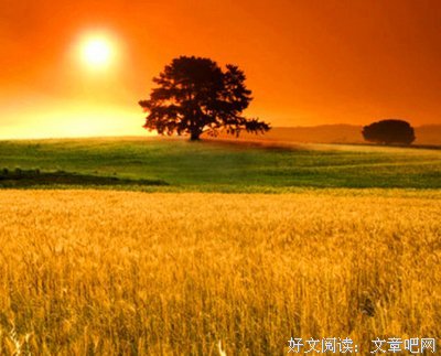 关于好心名言名句