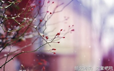 关于人生如梦的唯美语录