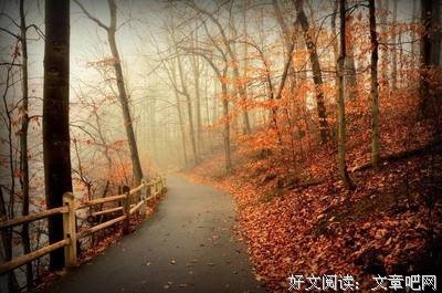 有关马太的美文美句摘抄