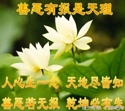 过年回家如何从容应对长辈催婚？