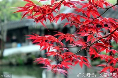 有关空的句子