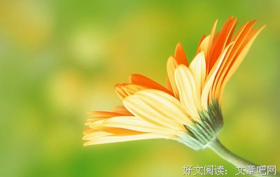 不看还为过于作把们她这遇。句子大全