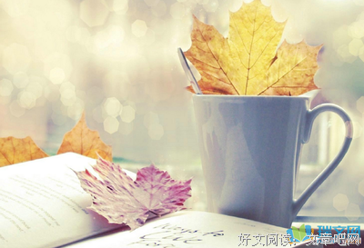 《文采》的句子