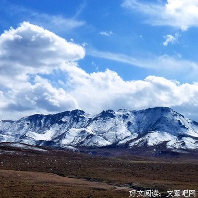 关于红枣的名言