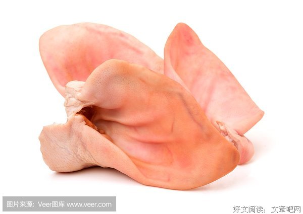 纯白的名言