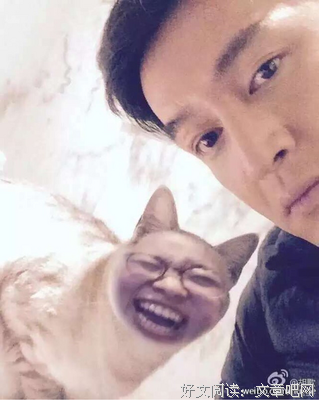 胡歌的名言