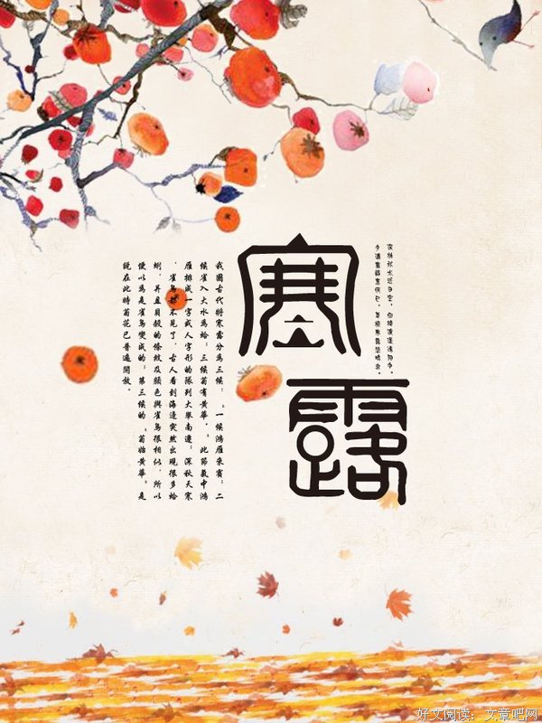 最新的韩露精彩语录