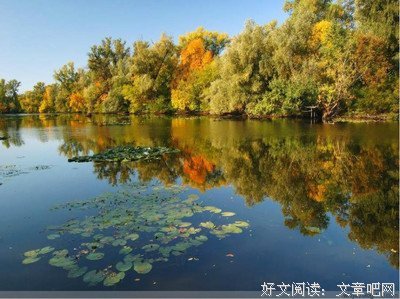 关于蜘蛛名言名句