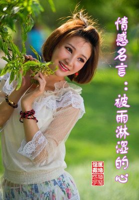 最新的雨狸名言