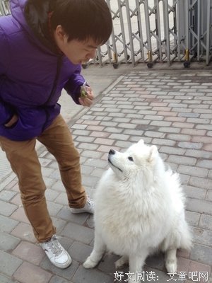 关于雪儿名人名言
