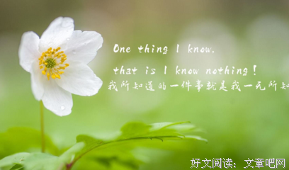 最全的《你是我学生又怎样》经典语录