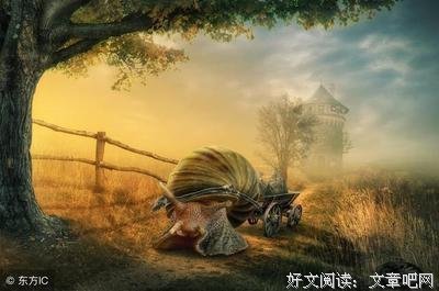 最经典的《情到深处不怕孤独》语录摘抄大全