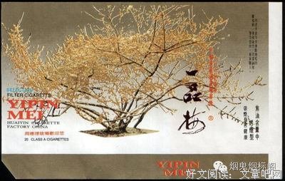 最经典的《我们终将独自长大》佳句摘抄