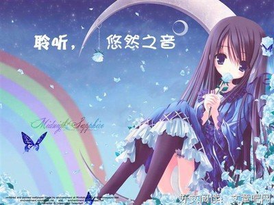 《穿越网王之音飘零》语录摘抄