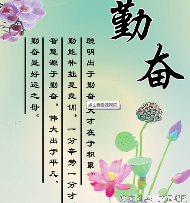 《天才在左 疯子在右》经典名句