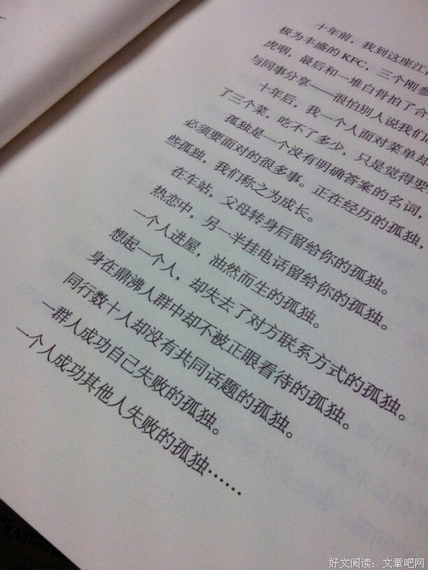 《你的孤独，虽败犹荣》经典语句