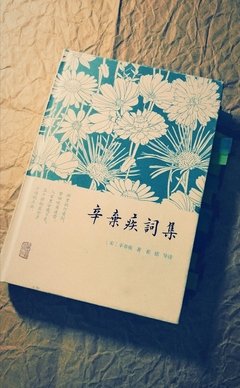 最经典的《这些都是你给我的爱》佳句摘抄
