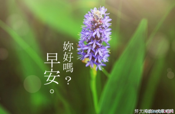 最全的《醉红颜：朕的倾城鬼后》经典名句