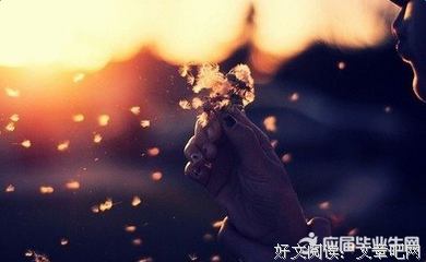 视而不见的句子
