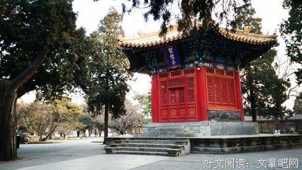 2019年北京的除夕夜，那些没有归乡的人……