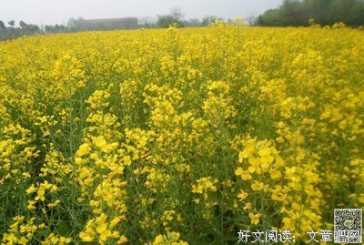 任时当第能夫人并后是你的好当分作文的句子
