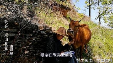 闲适经典的句子