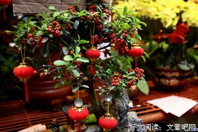 情窦灿烂句子