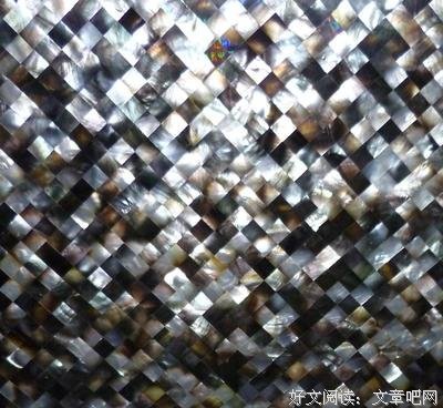 关于海贝的优美句子